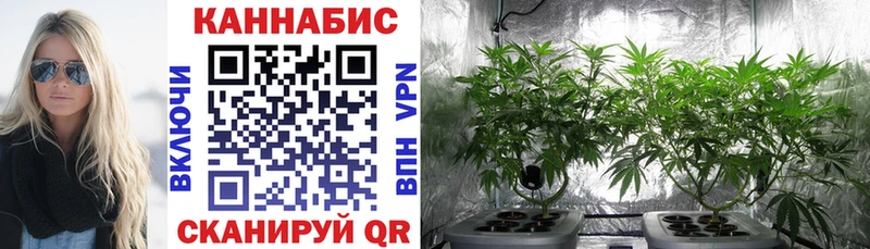 Виды наркотиков купить Чудово Бутират ГАШИШ Конопля