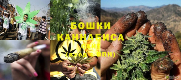 мет Ладушкин