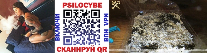 Псилоцибиновые грибы мицелий  Чудово 